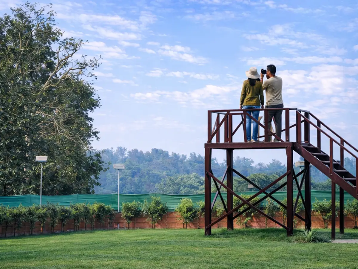 Bird watching tower view at Serai The Baagh Kishanpur Wildlife Sanctuary jungle resort
