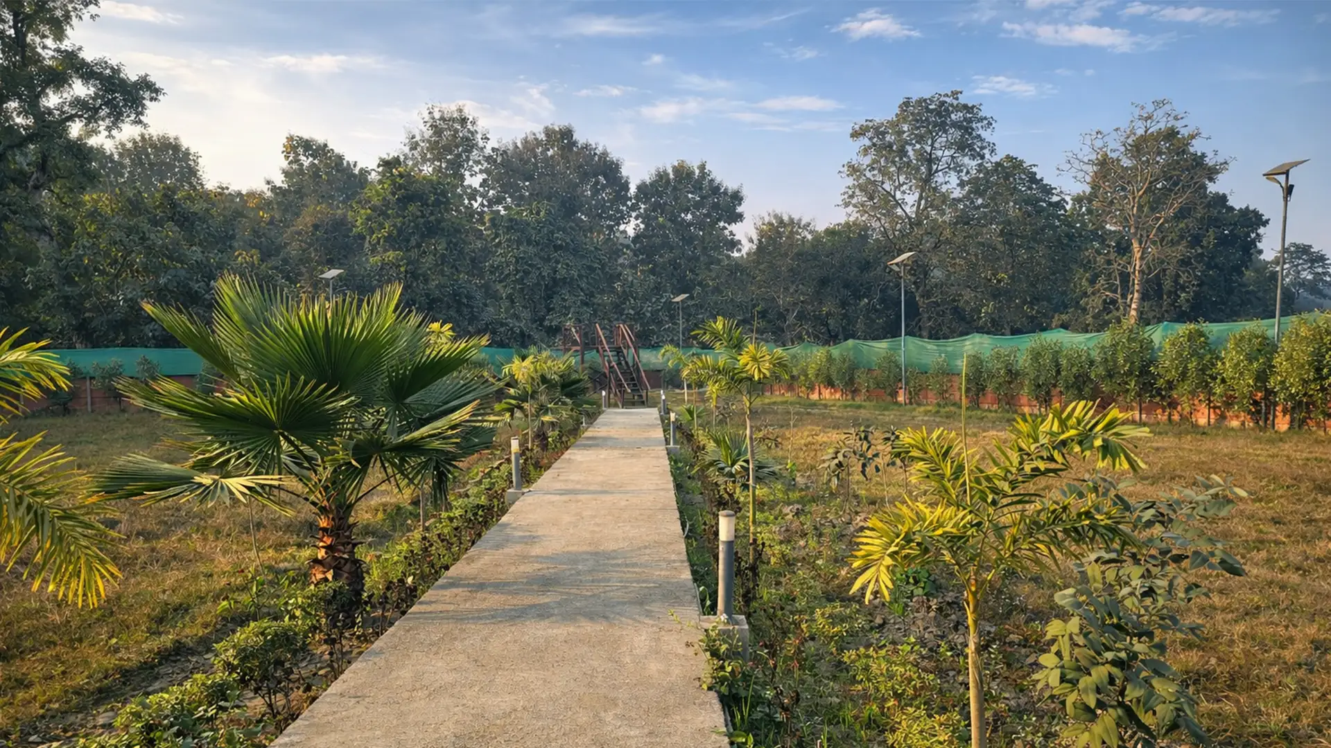 Tiger safari at Kishanpur Wildlife Sanctuary Dudhwa Tiger Reserve — Serai The Baagh jungle resort